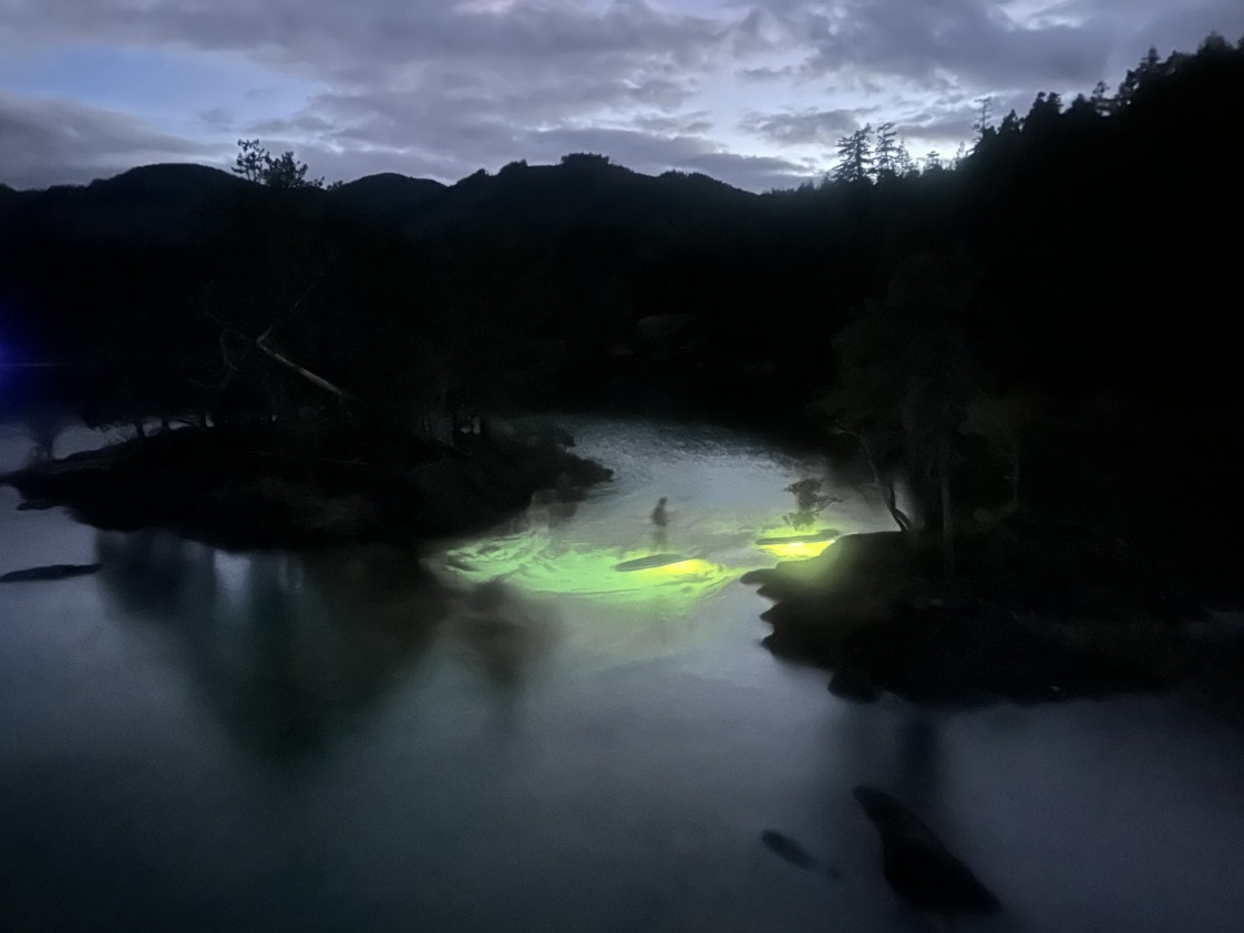 two glowing paddlebaords are seen from shore as they paddle around Gordon Bay on Cowichan Lake